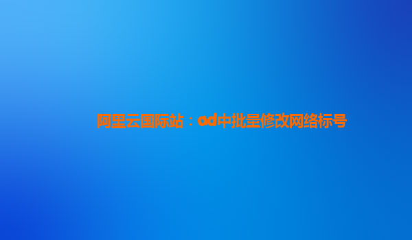 阿里云国际站：ad中批量修改网络标号