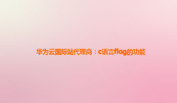 华为云国际站代理商：c语言flag的功能