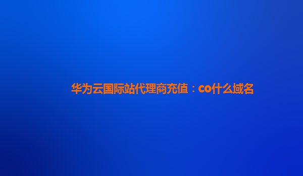 华为云国际站代理商充值：co什么域名