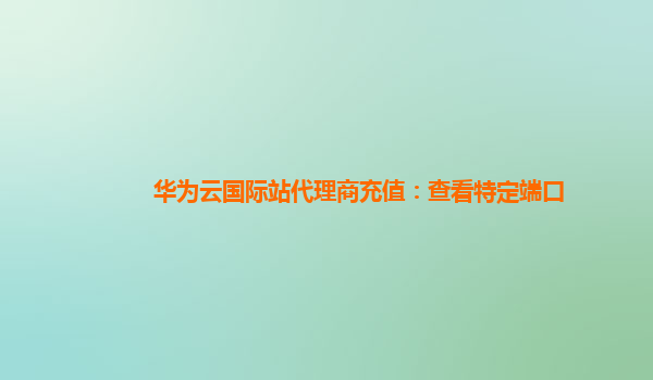 华为云国际站代理商充值：查看特定端口