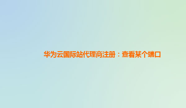 华为云国际站代理商注册：查看某个端口