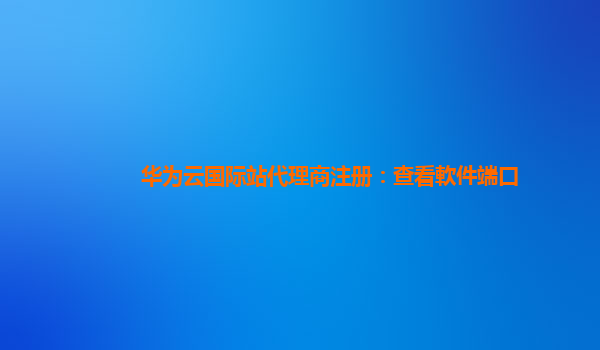 华为云国际站代理商注册：查看軟件端口