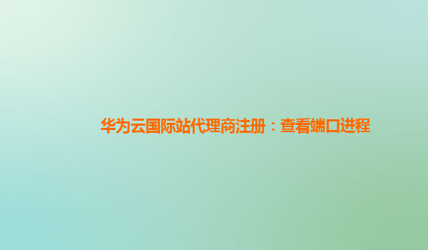 华为云国际站代理商注册：查看端口进程