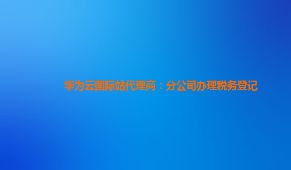 华为云国际站代理商：分公司办理税务登记