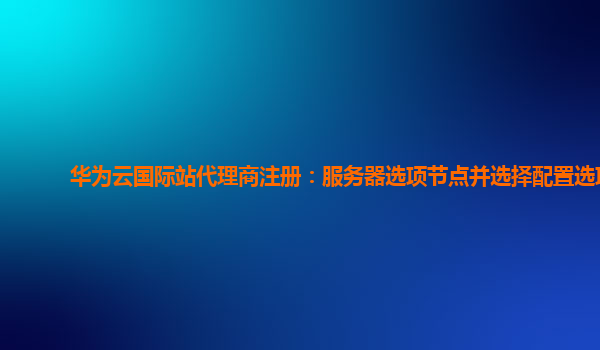 华为云国际站代理商注册：服务器选项节点并选择配置选项