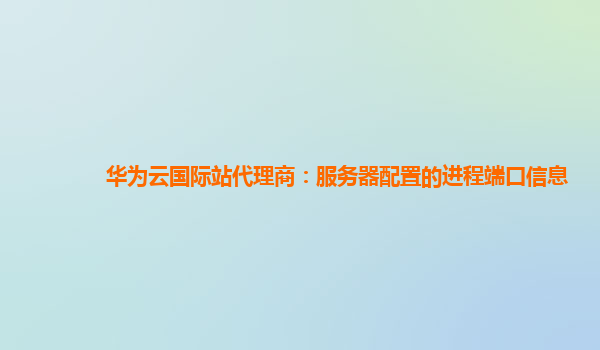 华为云国际站代理商：服务器配置的进程端口信息