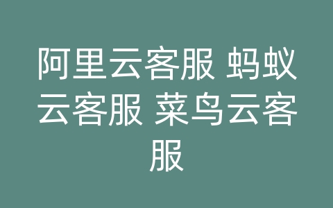 阿里云客服 蚂蚁云客服 菜鸟云客服