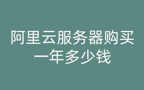 阿里云服务器购买一年多少钱