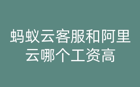 蚂蚁云客服和阿里云哪个工资高