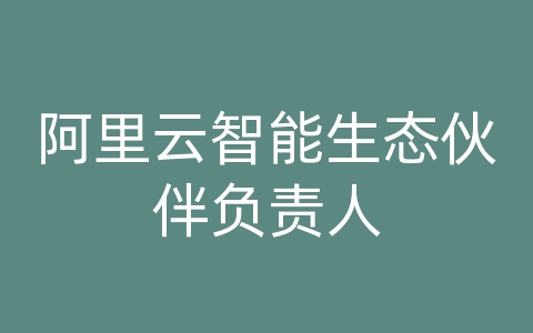 阿里云智能生态伙伴负责人