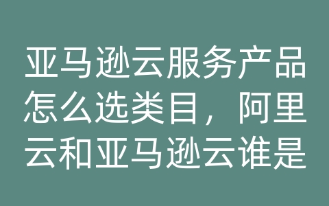 亚马逊云服务产品怎么选类目，阿里云和亚马逊云谁是鼻祖