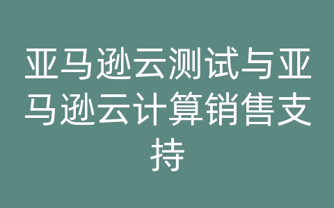 亚马逊云测试与亚马逊云计算销售支持