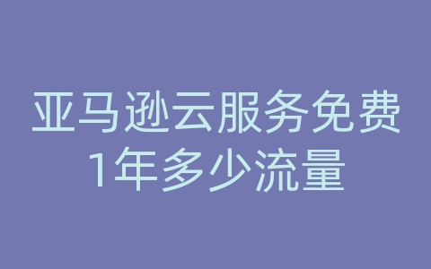 亚马逊云服务免费1年多少流量