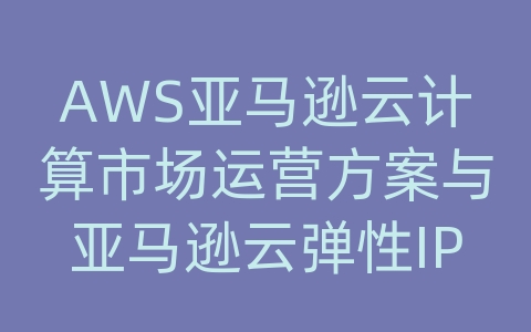 AWS亚马逊云计算市场运营方案与亚马逊云弹性IP