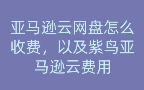 亚马逊云网盘怎么收费，以及紫鸟亚马逊云费用