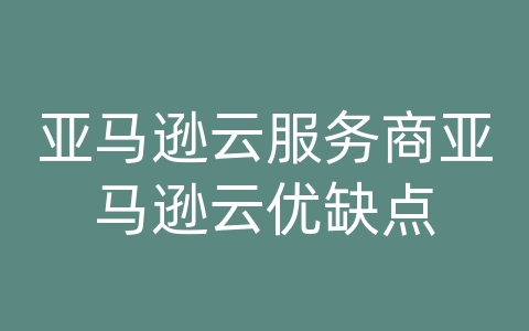 亚马逊云服务商亚马逊云优缺点