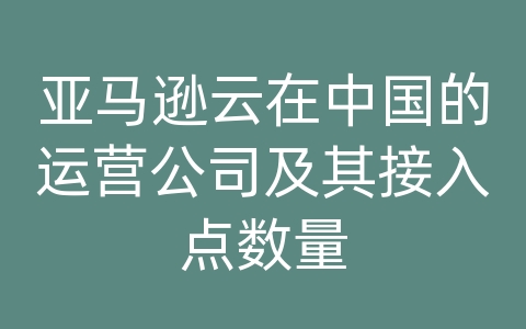 亚马逊云在中国的运营公司及其接入点数量