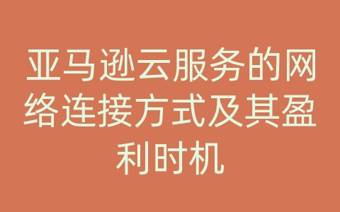 亚马逊云服务的网络连接方式及其盈利时机