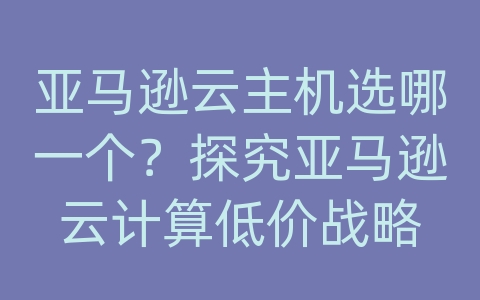 亚马逊云主机选哪一个？探究亚马逊云计算低价战略