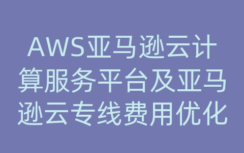 AWS亚马逊云计算服务平台及亚马逊云专线费用优化方案