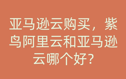 亚马逊云购买，紫鸟阿里云和亚马逊云哪个好？