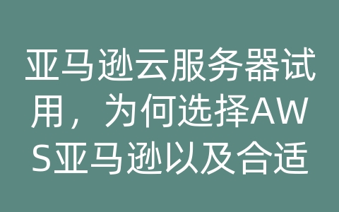 亚马逊云服务器试用，为何选择AWS亚马逊以及合适的云端容量