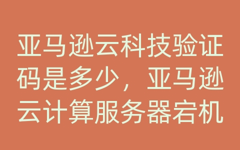 亚马逊云科技验证码是多少，亚马逊云计算服务器宕机