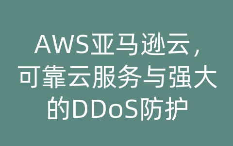 AWS亚马逊云，可靠云服务与强大的DDoS防护