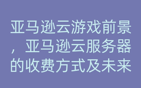 亚马逊云游戏前景，亚马逊云服务器的收费方式及未来发展前景