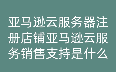 亚马逊云服务器注册店铺亚马逊云服务销售支持是什么工作