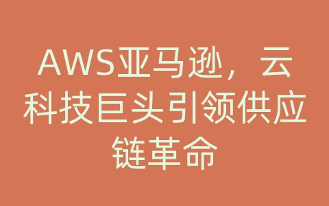 AWS亚马逊，云科技巨头引领供应链革命