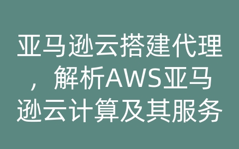 亚马逊云搭建代理，解析AWS亚马逊云计算及其服务