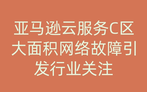 亚马逊云服务C区大面积网络故障引发行业关注