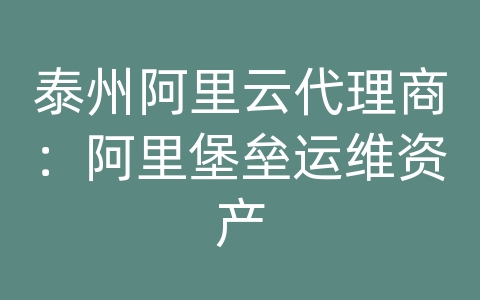 泰州阿里云代理商：阿里堡垒运维资产