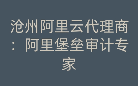 沧州阿里云代理商：阿里堡垒审计专家