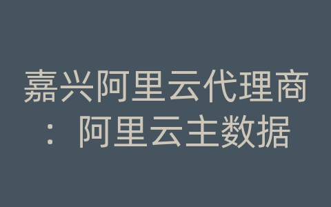 嘉兴阿里云代理商：阿里云主数据