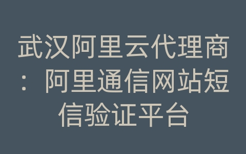 武汉阿里云代理商：阿里通信网站短信验证平台
