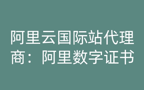 阿里云国际站代理商：阿里数字证书