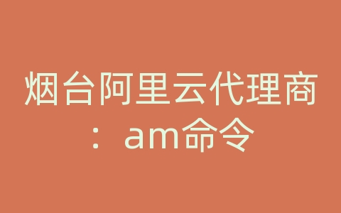 烟台阿里云代理商：am命令