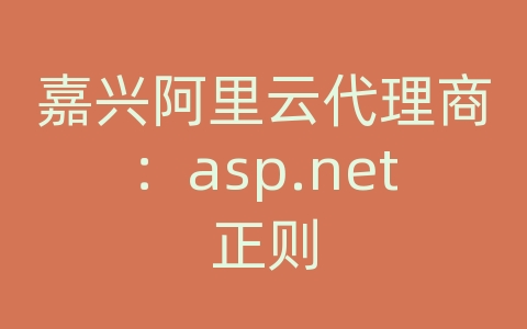 嘉兴阿里云代理商：asp.net正则