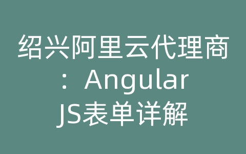 绍兴阿里云代理商：AngularJS表单详解