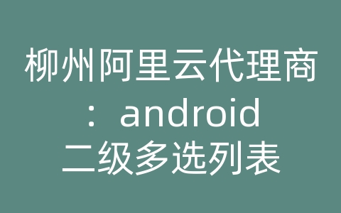 柳州阿里云代理商：android二级多选列表