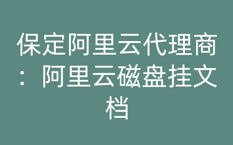 保定阿里云代理商：阿里云磁盘挂文档