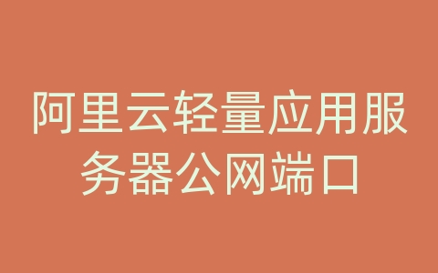 阿里云轻量应用服务器公网端口