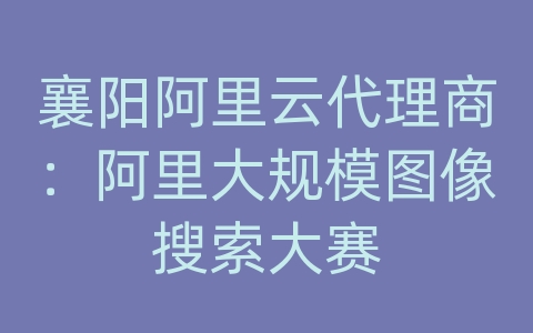 襄阳阿里云代理商：阿里大规模图像搜索大赛