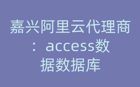 嘉兴阿里云代理商：access数据数据库