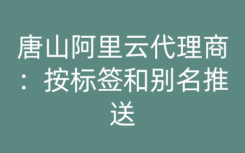 唐山阿里云代理商：按标签和别名推送