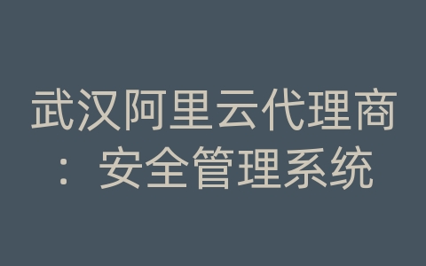 武汉阿里云代理商：安全管理系统