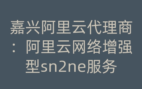 嘉兴阿里云代理商：阿里云网络增强型sn2ne服务器