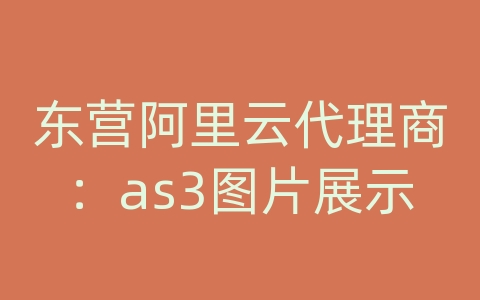 东营阿里云代理商：as3图片展示